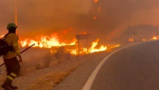 Las llamas alcanzaron su mayor intensidad en Los Gallardos, donde el viento y la vegetación seca aceleraron un incendio que avanzó hacia Bédar y dejó al menos 12 muertos.