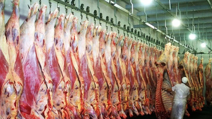 Barrera sanitaria: Con nuevo esquema, Senasa habilitó el ingreso de carne con hueso a la Patagonia