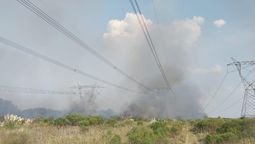 Atucha I salió de servicio en forma preventiva ante un incendio de líneas de alta tensión.