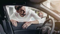 altText(Pese a la crisis, en 2019 los argentinos compraron 1 auto 0 km cada 97 habitantes, tasa muy alta en la región)}