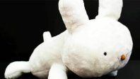 LaInteligencia Artificial (IA) sorprendió con la creación del nuevo robot mascotaque reconoce a las personas por su voz. LaInteligencia Artificial (IA) sorprendió con la creación del nuevo robot mascotaque reconoce a las personas por su voz.