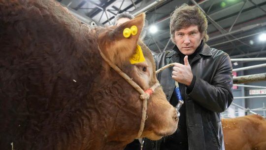 El campo sorprendió con su apoyo a Javier Milei pese a todo... El campo sorprendió con su apoyo a Javier Milei pese a todo...