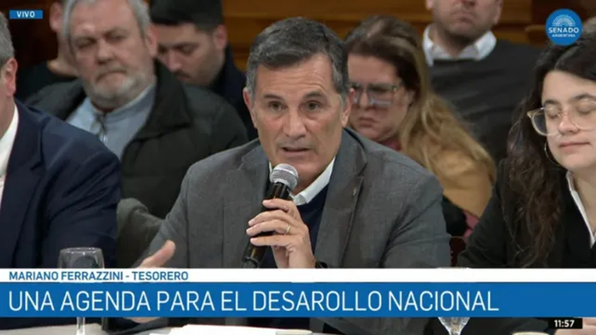 El tesorero de la Federaci&oacute;n Industrial de Santa Fe, Mariano Ferrazzini, expuso ante legisladores nacionales sobre la ca&iacute;da productiva, el aumento de costos y las dificultades que atraviesa el sector.&nbsp;