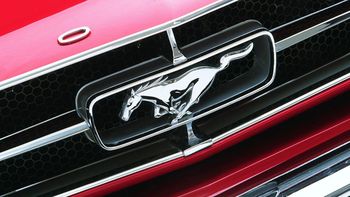 Una nueva generación desembarca en el país. Una nueva generación desembarca en el país.