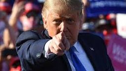 Donald Trump. Donald Trump.