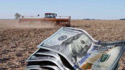 altText(Se registró el peor ingreso de dólares del campo en 10 años y ¿sin compras del BCRA?)}