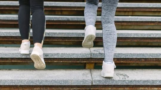 Escalerobismo casero: subir escalones + caminata o bici + mancuernas + sentadillas cada día