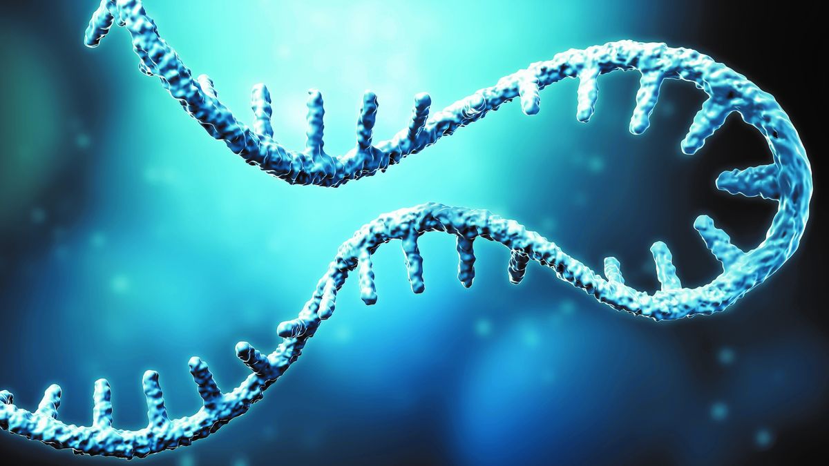 Vacunas oncológicas a partir del ARNm: lo que viene.