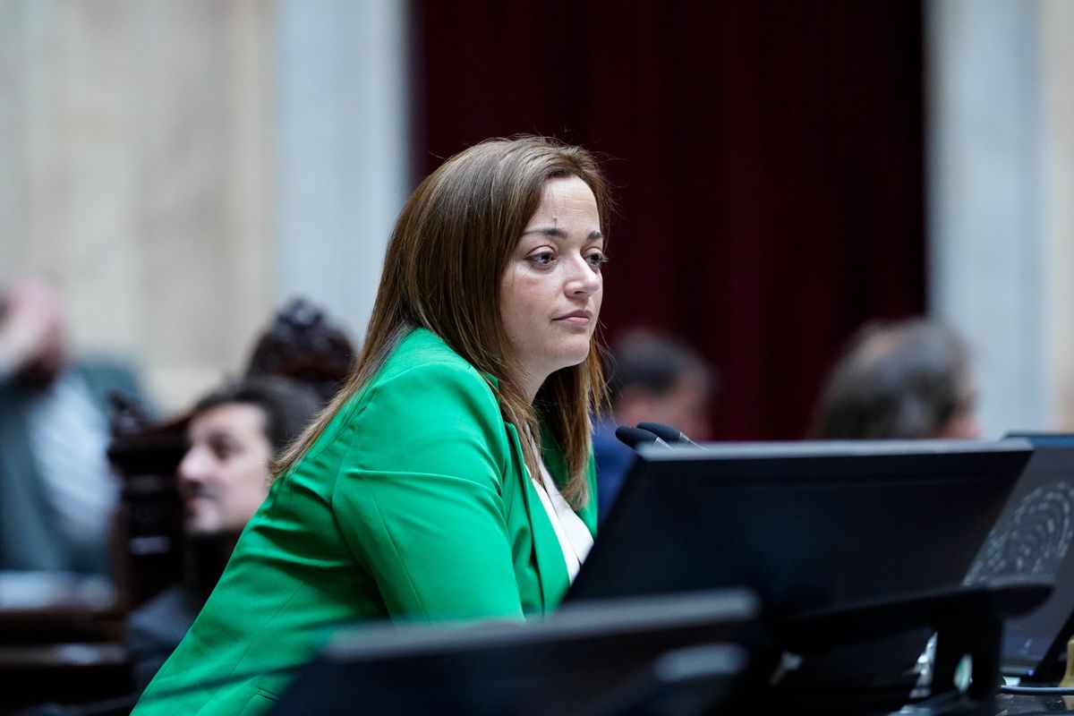 Recriminaciones de Cecilia Moreau al titular de la Cámara de Diputados, Martín Menem. las cuestiones de privilegio flotaron en el recinto Recriminaciones de Cecilia Moreau al titular de la Cámara de Diputados, Martín Menem. las cuestiones de privilegio flotaron en el recinto