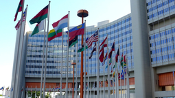 Impactante documento de la ONU
