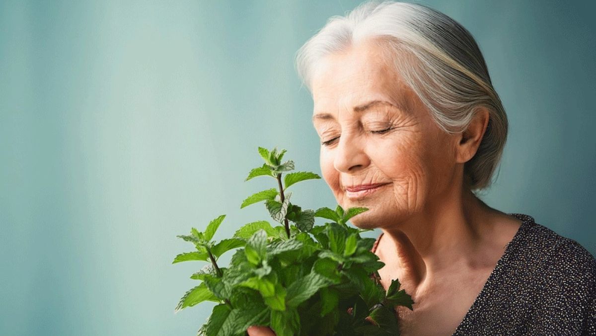 Oler mentol mejora la memoria en ratones con Alzheimer y frena el deterioro cerebral. Científicos creen que los aromas podrían usarse en posibles terapias.