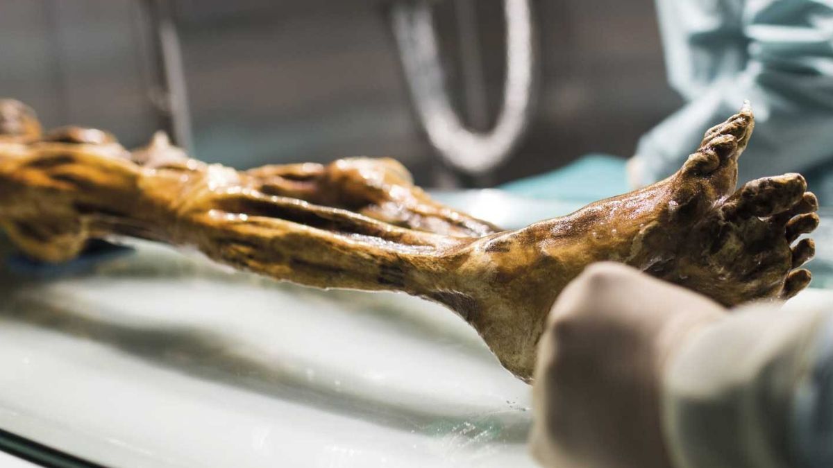 ¿Qué otras cosas fascinantes ocultará la momia del hombre de hielo? ¿Qué otras cosas fascinantes ocultará la momia del hombre de hielo?