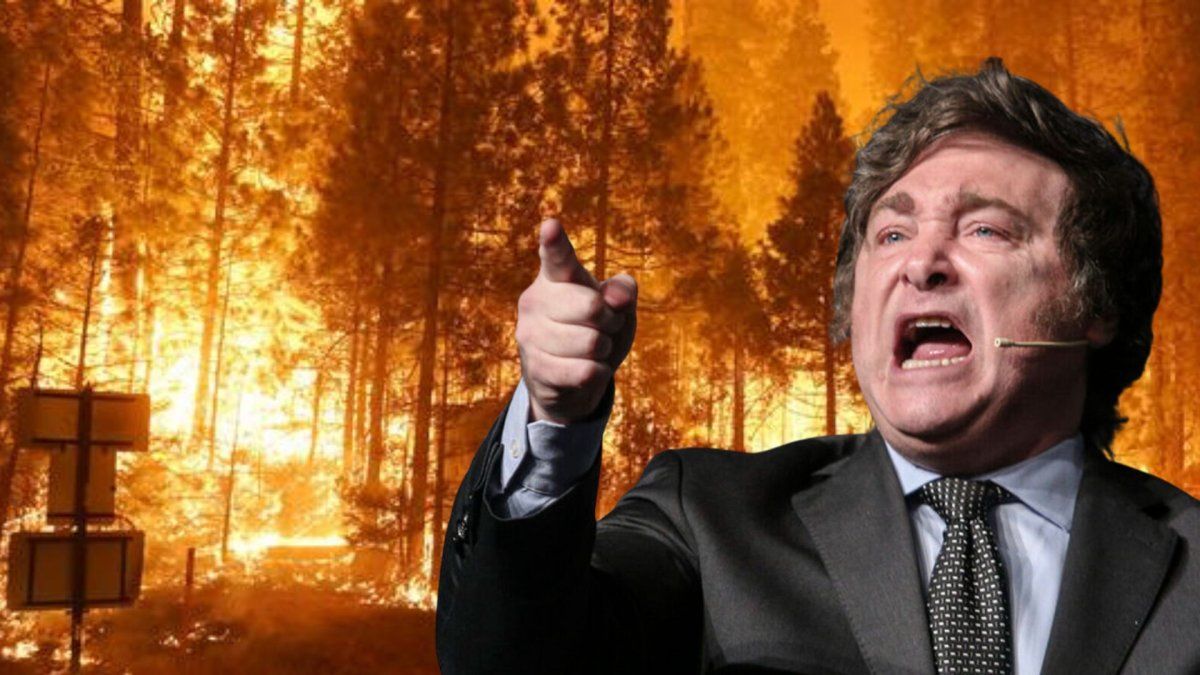 Febrero movido para Javier Milei.&nbsp;