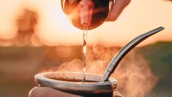 Yerba mate liberal: Ya sin control de precios, oficializan cambios en el INYM