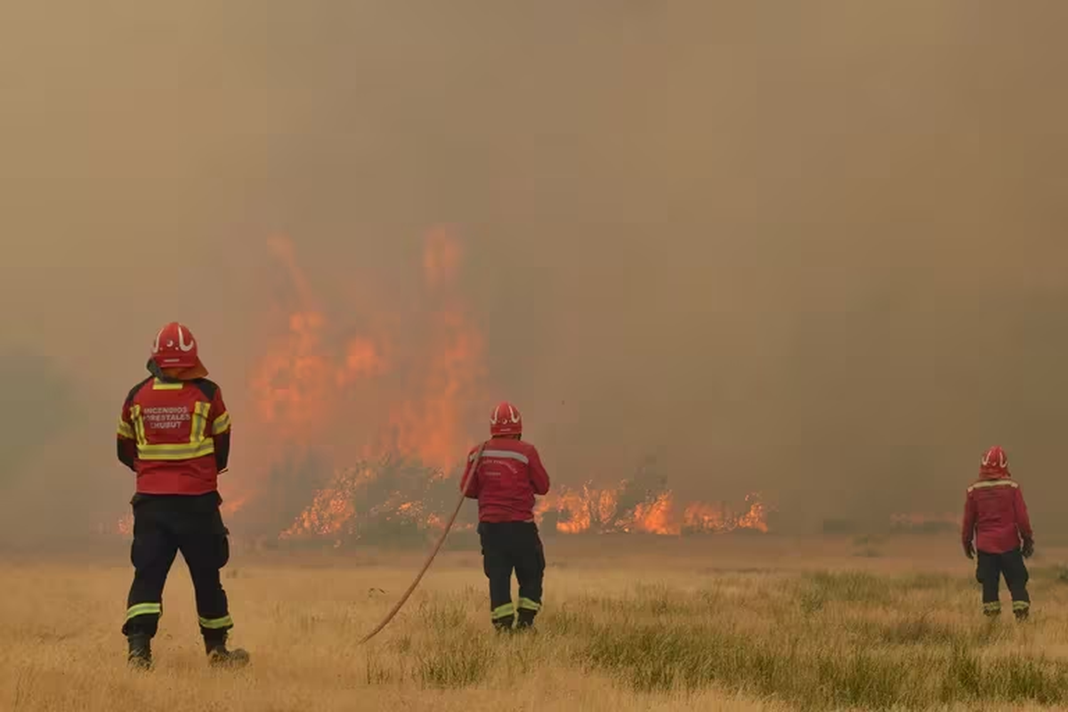 Incendio en el Parque Nacional Los Alerces. Imagen del fin de semana. Incendio en el Parque Nacional Los Alerces. Imagen del fin de semana.