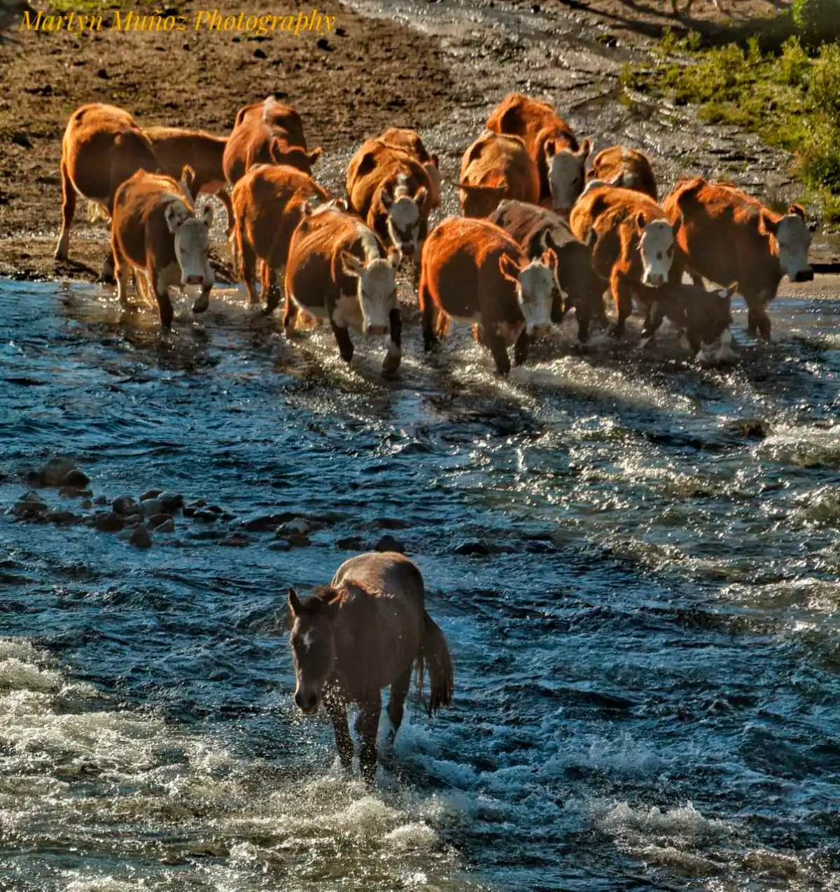 Un plan diferente para hacer en la Patagonia. Foto: Martín Muñoz.