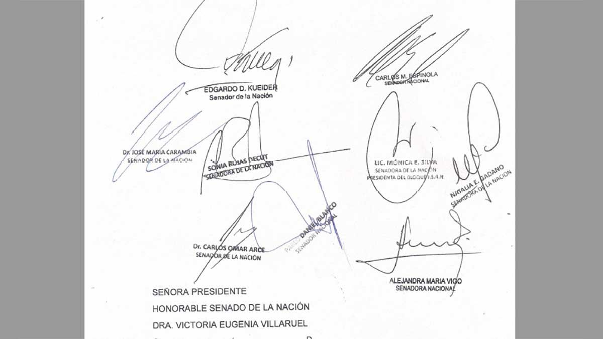 El pedido de sesión firmado por 9 senadores federales y dirigido a la vicepresidenta Victoria Villarruel.
