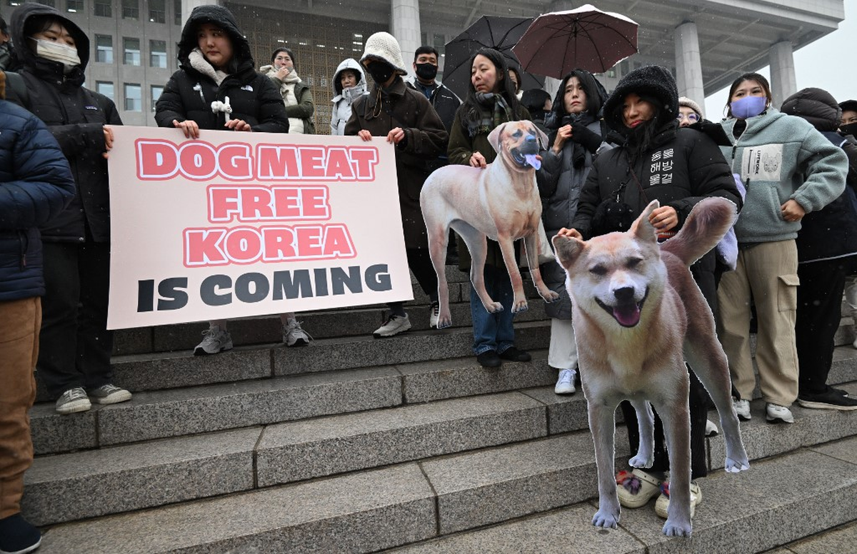 Corea libre de carne de perro 'is coming', dicen los carteles de los manifestantes a las afueras del Congreso surcoreano. Corea libre de carne de perro 'is coming', dicen los carteles de los manifestantes a las afueras del Congreso surcoreano.