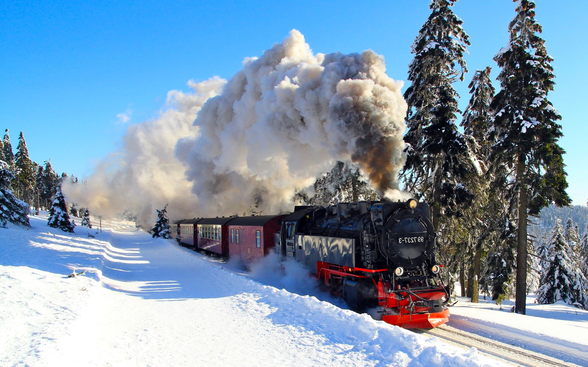 El humo saliendo del tren, las puertas corredizas y los espacios para dormir dentro hacen que parezca un viaje de película.