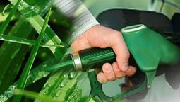 Un año y medio después, Energía reglamentó la Ley de Biocombustibles.