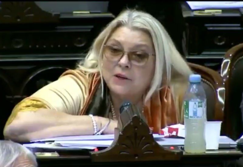 Carrió quiso aclarar pero terminó cometiendo un increíble fallido (Foto: Foto NA/ @diputadosAR)