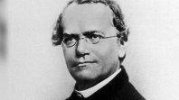 Elmonje austríaco, Gregor Mendel, fue el creador de la genética y sus trabajospermitieron conocer las leyes fundamentales de la herencia. Elmonje austríaco, Gregor Mendel, fue el creador de la genética y sus trabajospermitieron conocer las leyes fundamentales de la herencia.