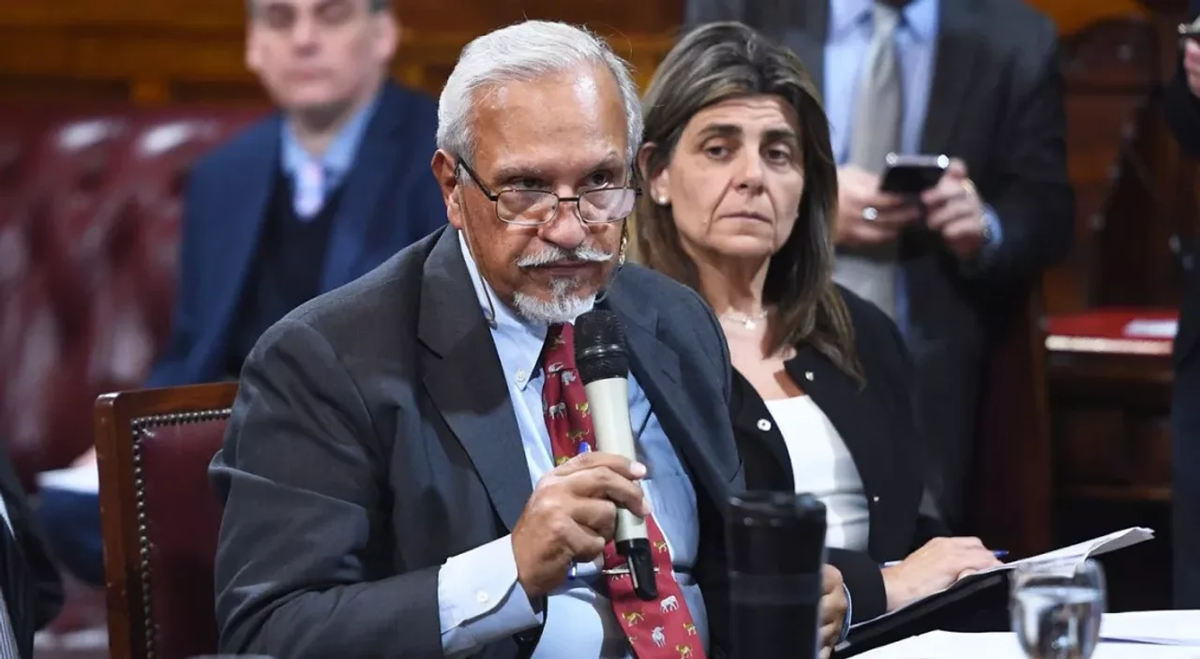 La comisión será presidida por el experimentado senador salteño Juan Carlos Romero mientras que la diputada santacruceña Ana María Ianni ocupará la vicepresidencia La comisión será presidida por el experimentado senador salteño Juan Carlos Romero mientras que la diputada santacruceña Ana María Ianni ocupará la vicepresidencia