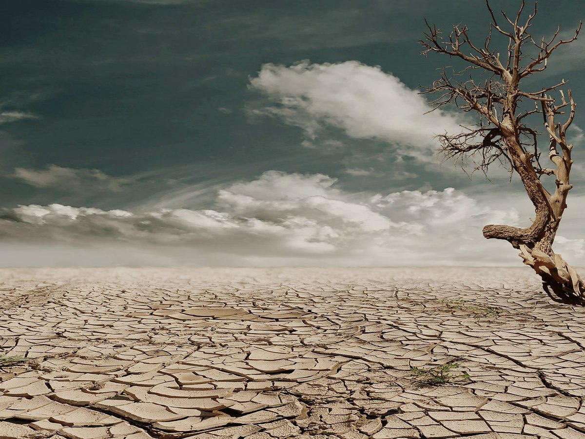 Futuro sin agua Futuro sin agua