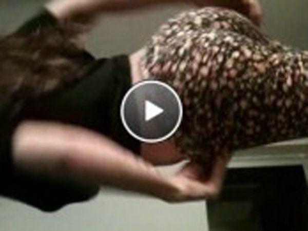 Florencia, en lo poco apto para todo público de su video hot (Foto: Captura de pantalla)