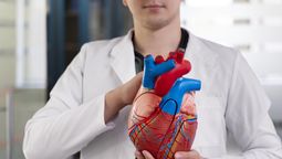 Cómo evitar arterias obstruidas y tener un corazón saludable / Imagen de Freepik. Cómo evitar arterias obstruidas y tener un corazón saludable / Imagen de Freepik.