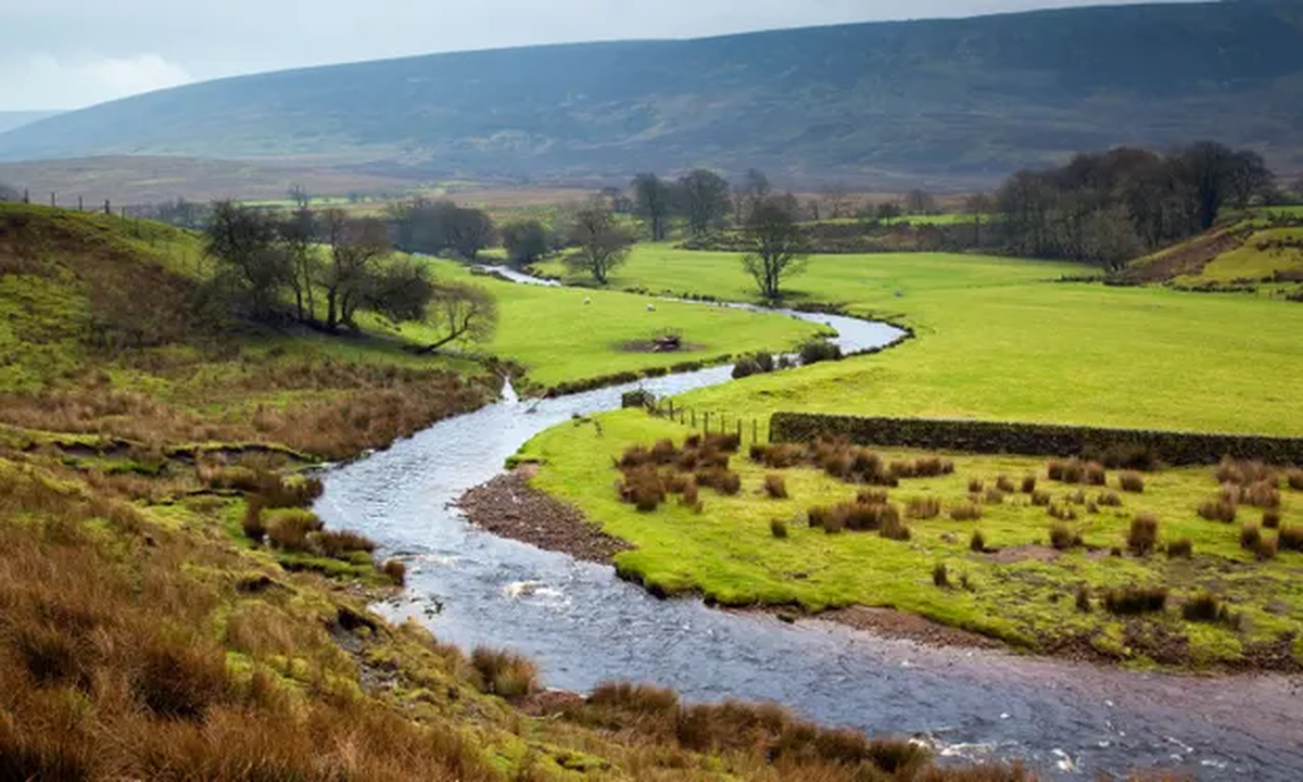 En el Reino Unido, los niveles más altos de PFAS se encontraron en una descarga en el río Wyre.