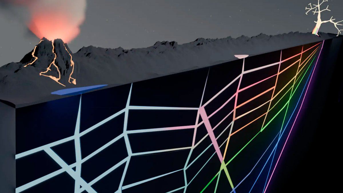 La ciencia sorprende con este descubrimiento.&nbsp;