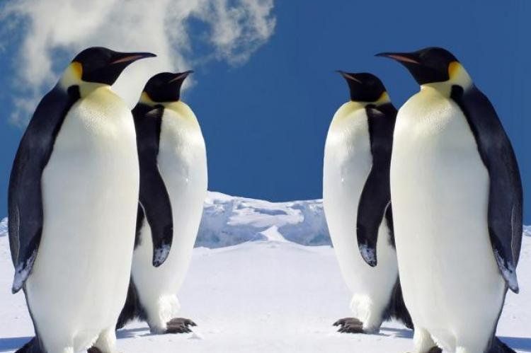 Para el Ministerio del Interior había 122 electores, para la Justicia de Tierra del Fuego 98.