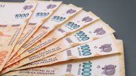 ANSES actualizó los montos de los beneficios sociales para julio. ANSES actualizó los montos de los beneficios sociales para julio.