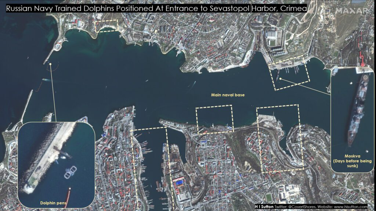 La imagen de satélite que marca los corrales donde hay delfines militares, en el puerto de Sebastopol.