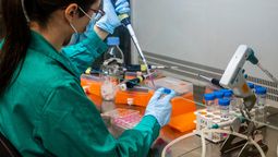 Peligra la ciencia por la animosidad creciente entre China y USA.