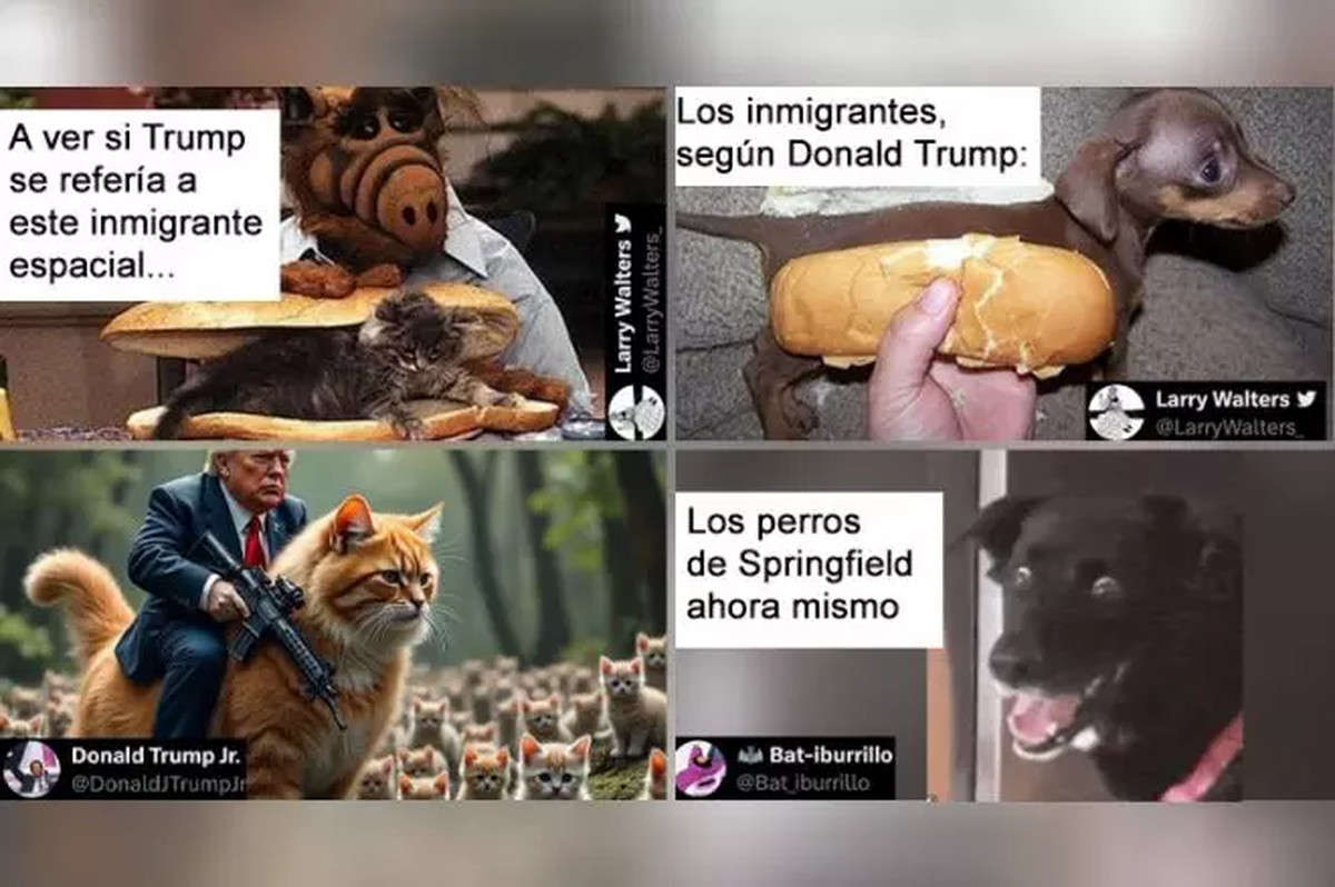 Los memes virales tras las declaraciones de Trump. Los memes virales tras las declaraciones de Trump.