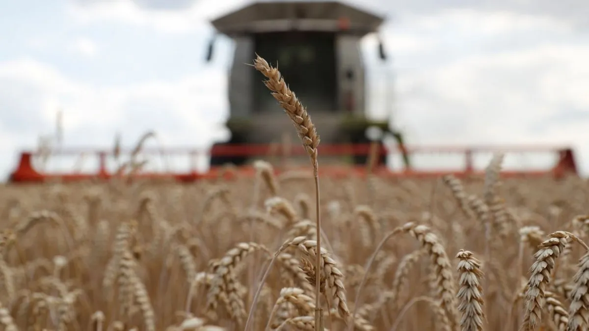 La disputa de cereales, entre otros factores, generó el enfriamiento de la relación polaca ucraniana. La disputa de cereales, entre otros factores, generó el enfriamiento de la relación polaca ucraniana.