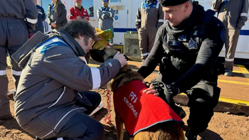 La foto de Javier Milei con un perro durante su recorrido de ayer en Vaca Muerta. La foto de Javier Milei con un perro durante su recorrido de ayer en Vaca Muerta.