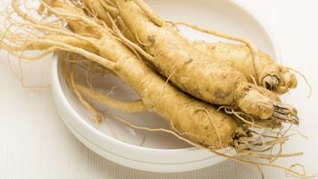 Muchos conocen el ginseng por su efecto en la memoria, pero esta hierba también es útil para la diabetes. Muchos conocen el ginseng por su efecto en la memoria, pero esta hierba también es útil para la diabetes.