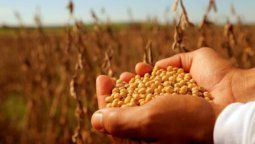 altText(Sociedad Rural de Rosario cruzó a Alberto F., pero ley de semillas calmaría las aguas)}