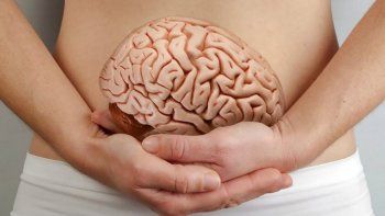 nueve consejos para un cerebro sano, segun especialistas