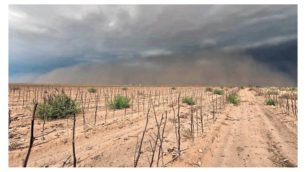 La sequía en Texas avanza y el problema está bajo tierra