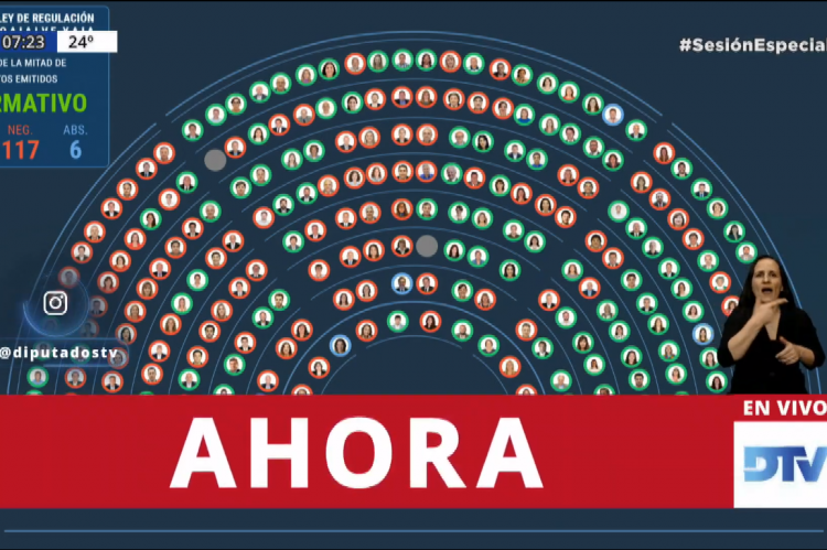 Votación en Diputados.
