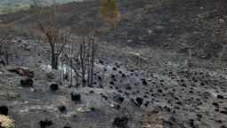La provincia de Chubut fue beneficiada con la declaración deemergencia agropecuaria por 1 año a raíz de los incendios en Departamento de Cushamen.