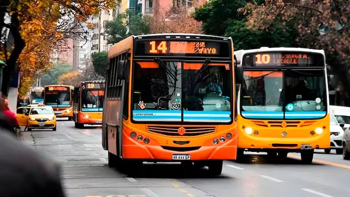 El transporte masivo podría sobrevivir solo en las grandes ciudades. El transporte masivo podría sobrevivir solo en las grandes ciudades. 