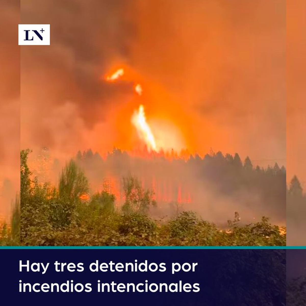 Ingresará a diputados un proyecto para que no sean excarcelables los incendios forestales intencionales Ingresará a diputados un proyecto para que no sean excarcelables los incendios forestales intencionales