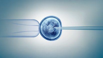 Increíble: científicos logran crear óvulos humanos funcionales a partir de células de piel común
