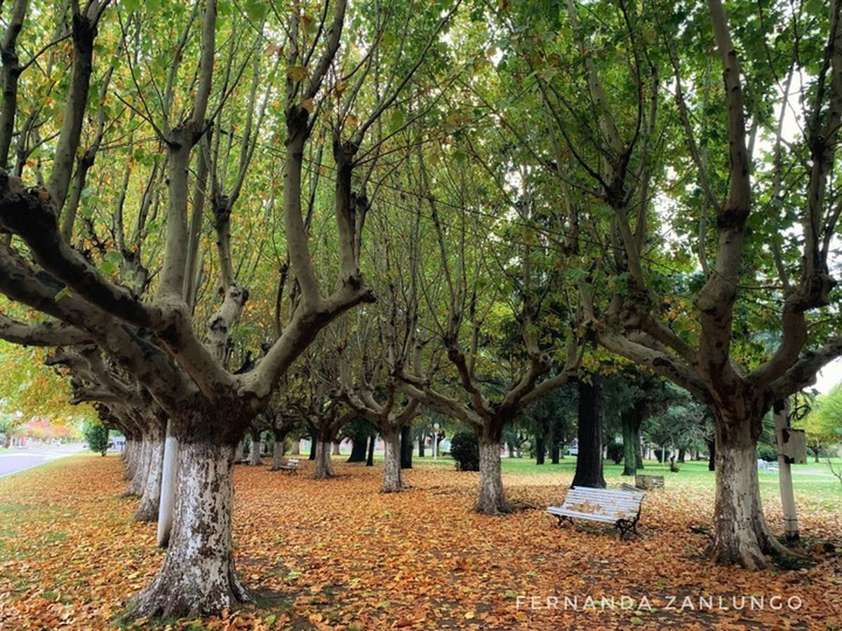Este pueblo de Buenos Aires es de los más lindos. (Foto: Fernanda Zanlungo) Este pueblo de Buenos Aires es de los más lindos. (Foto: Fernanda Zanlungo)