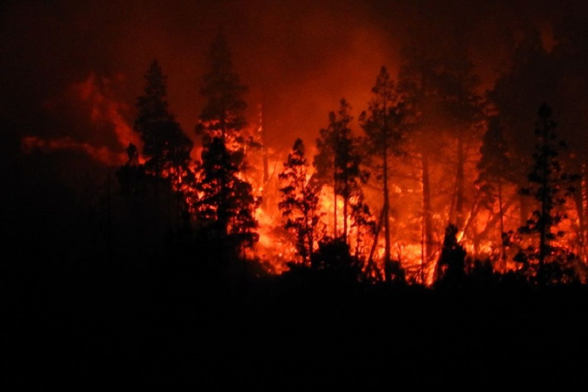 Bomberos de Uruguay combaten dos importantes focos de incendios